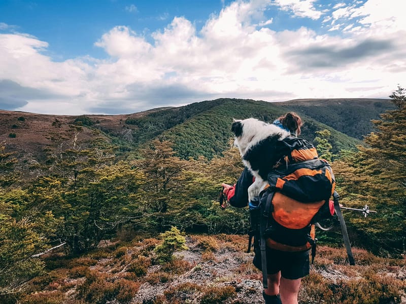 Discover Your Next Adventure with Where To Travel